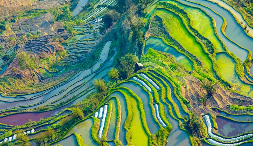走进禄丰县TVC拍摄：解锁本地化场景与创意镜头的完美融合